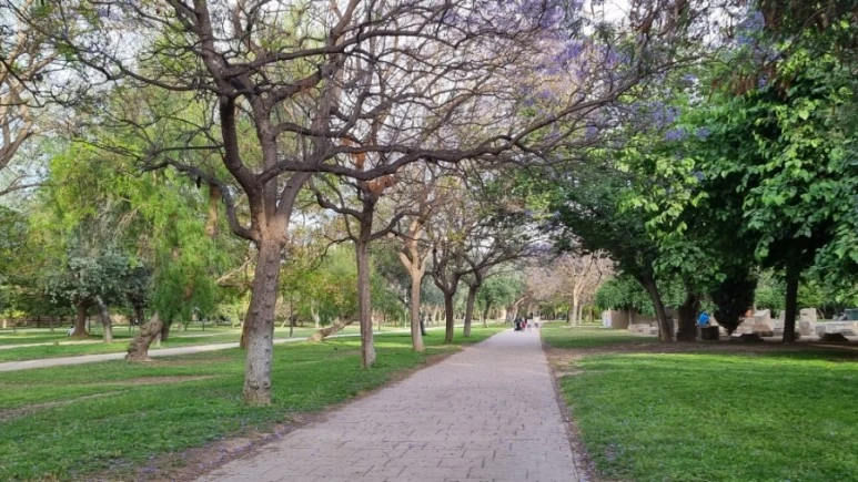 20230513%EF%BC%BF194628.jpg?type=w773