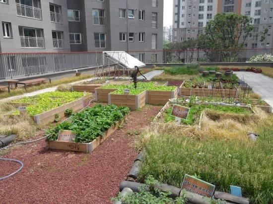 20150507_130735.jpg?type=w3