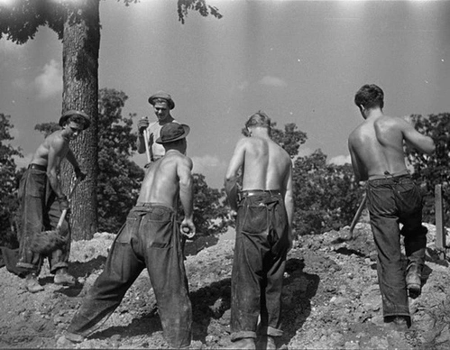 SE-57345153-a259-429d-935b-5c486d9ee8bc.jpg?type=w966