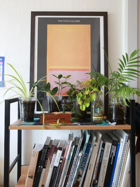 테이크아웃화분 (2).JPG