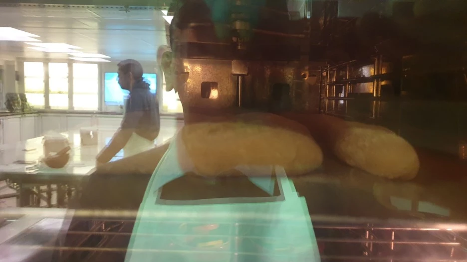 20190320_114205.jpg?type=w1