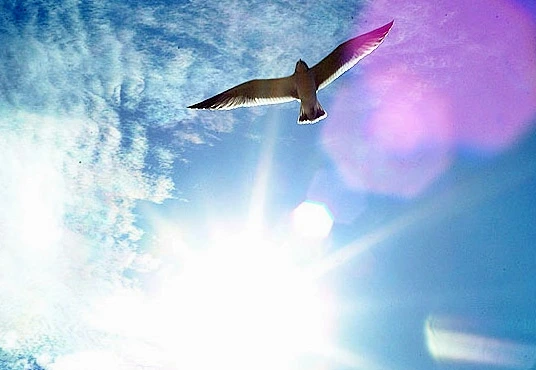 d0139042_50547babc982b.jpg?type=w1