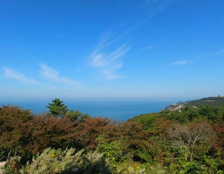 20171019_101518.jpg?type=w2