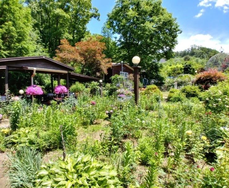 KakaoTalk_20170526_231611996.jpg?type=w2