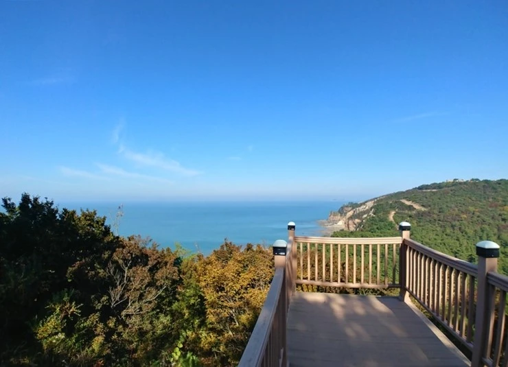 20171019_100335_HDR.jpg?type=w2