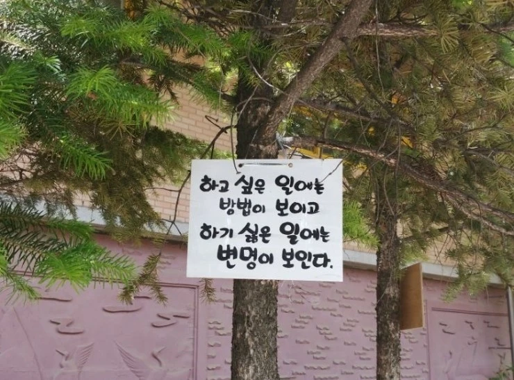 KakaoTalk_Moim_52v07RoPR8XSyyvyKMIqM2Zl7jDg0F.jpg?type=w2