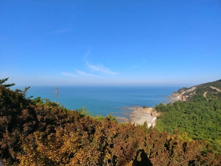 20171019_100521.jpg?type=w2