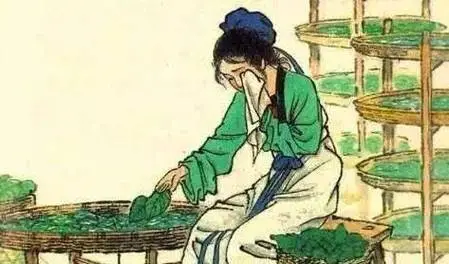 u=4180015480,3398349078&fm=253&fmt=auto&app=120&f=JPEG?w=449&h=264