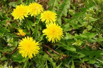 ?src=http%3A%2F%2Fblogfiles.naver.net%2FMjAyNTA0MThfNzAg%2FMDAxNzQ0OTMzNzI0MzUz.Asm92Ax3q-HFUf8eaZ0T2CvUR6mYE2Bdez8Ku3AL8akg.yCpo3F8P4-XLH9Wxx9C2hf7mEVjcN2zclDgVmtkFWRUg.JPEG%2F%25B4%25D9%25BF%25EE%25B7%25CE%25B5%25E5_%252836%2529.jpeg&type=a340