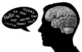 OIP.S72rmw4c09Y97FT50lXi5AAAAA?w=208&h=131&c=7&r=0&o=7&dpr=1.3&pid=1.7&rm=3