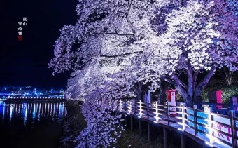 svuLpE05Y8tRgaK4-aRjqVD7YV0