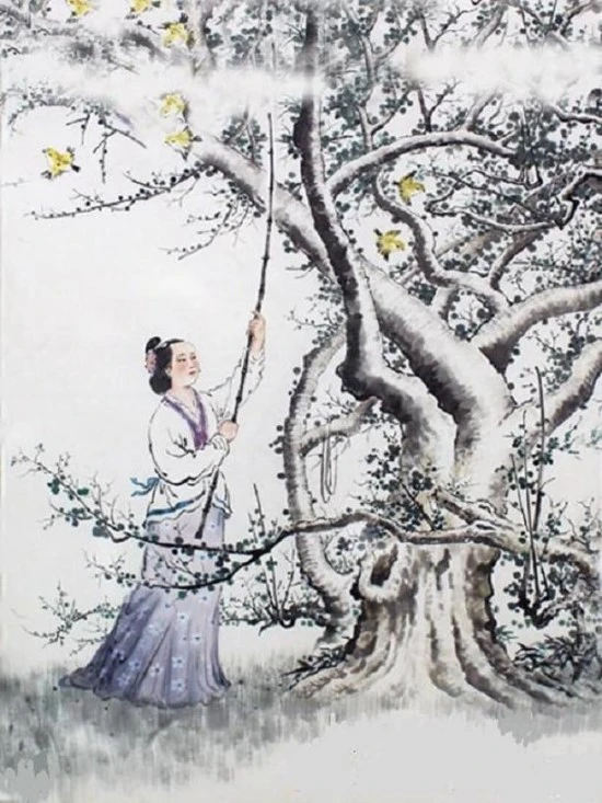 vVibdb9Do6icqiaagOY6icxs3KywsFXAXElq0ougKia4RsbO0DRXpagddjh7HyOl1dK3xic8TMu2SouwYNBhMPdGPvqA.jpg?jopt=2&type=w2