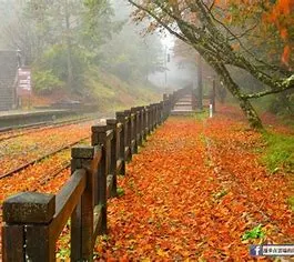 OIP.j6q-dTn2EgxkqD6QCfWseQHaE8?w=204&h=182&c=7&r=0&o=5&dpr=1.3&pid=1.7