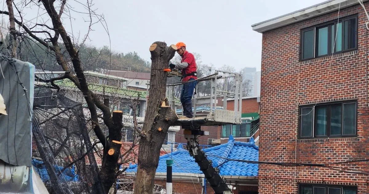 f33d1ce7-cca4-4c0b-abbc-9ffa6b0fd87b.jpg?h=630&w=1200&webp=1