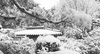 OIP.gZ_qsYrkgpA2lcE2J62mJAAAAA?w=262&h=142&c=7&r=0&o=5&dpr=1.3&pid=1.7