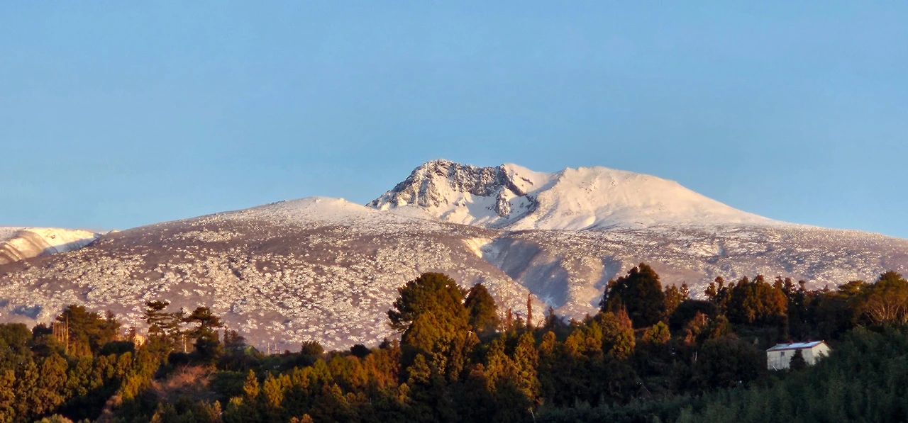 GUPIHZrMYMNUKXMbGTCCHycfbuI