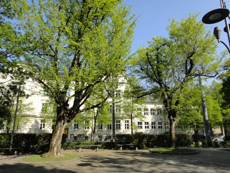 DSC05661.JPG?type=w773