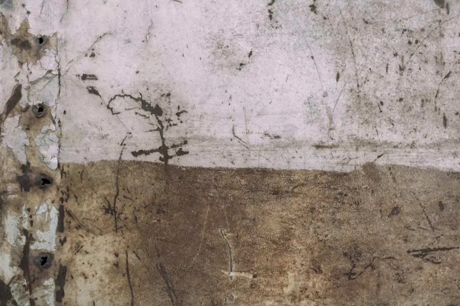 photo-1594287348215-2e7755d9c0b0.jpg?type=w1