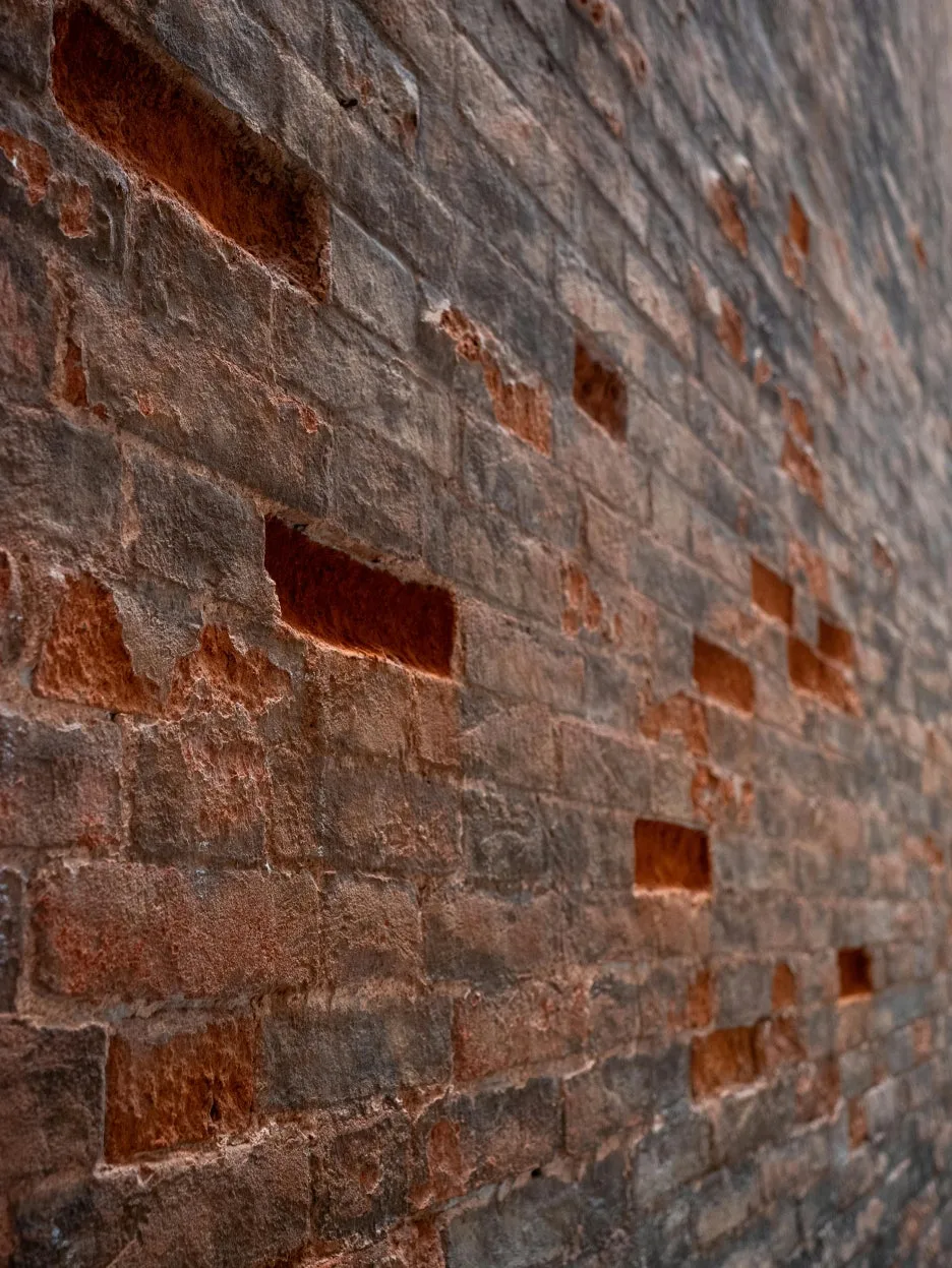 pexels-fer-id-830123815-34378668.jpg?type=w1