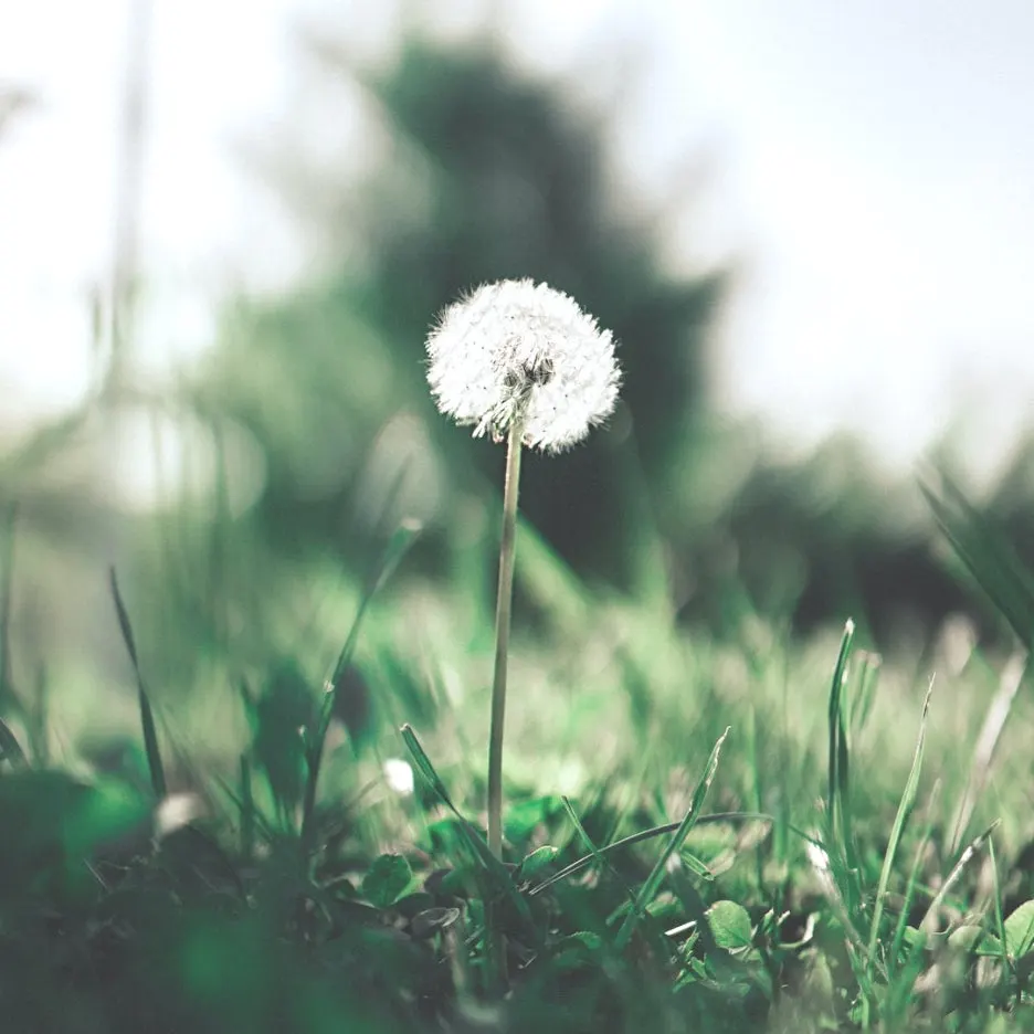 SE-72ac0850-f088-4177-bd8d-64bf21eea318.jpg?type=w1