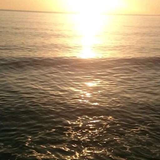 6429015_uploaded_6703404.jpg?type=w1