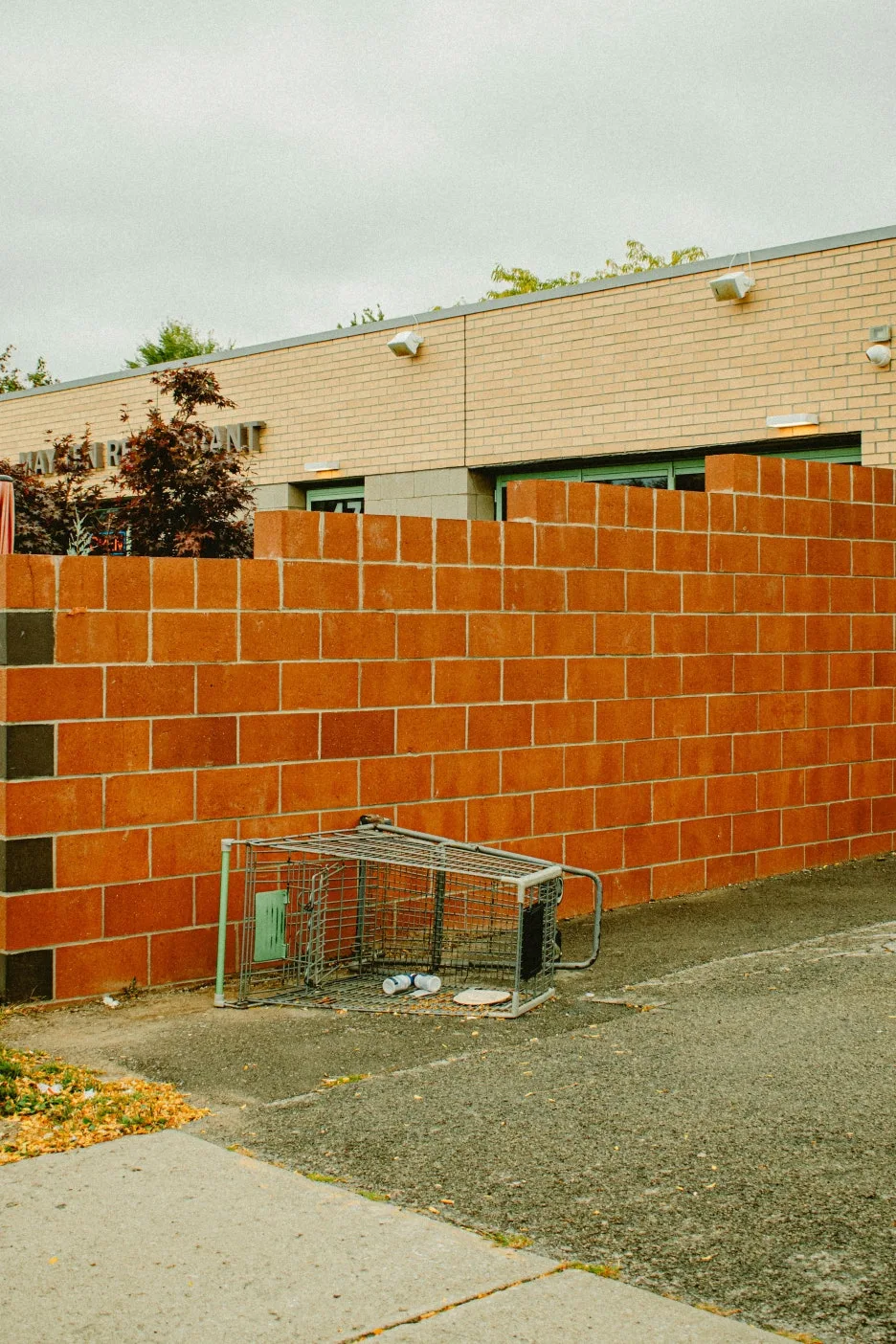 pexels-ritesh-singh-64833387-33327058.jpg?type=w1