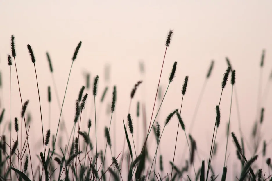 photo-1535901248464-1dfe91714d3b.jpg?type=w1