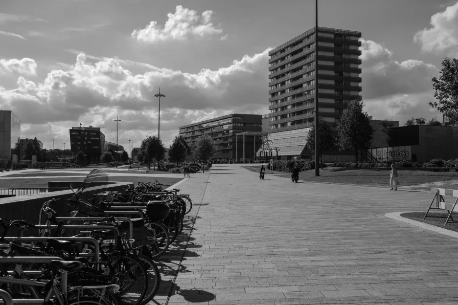 pexels-haberdoedas-33372892.jpg?type=w1