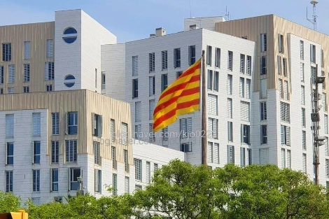 1526906913835.jpg?type=w1