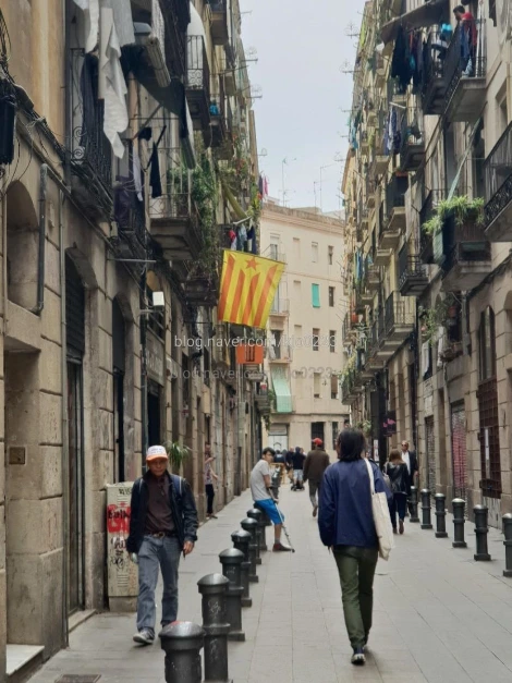 1526906675121.jpg?type=w1