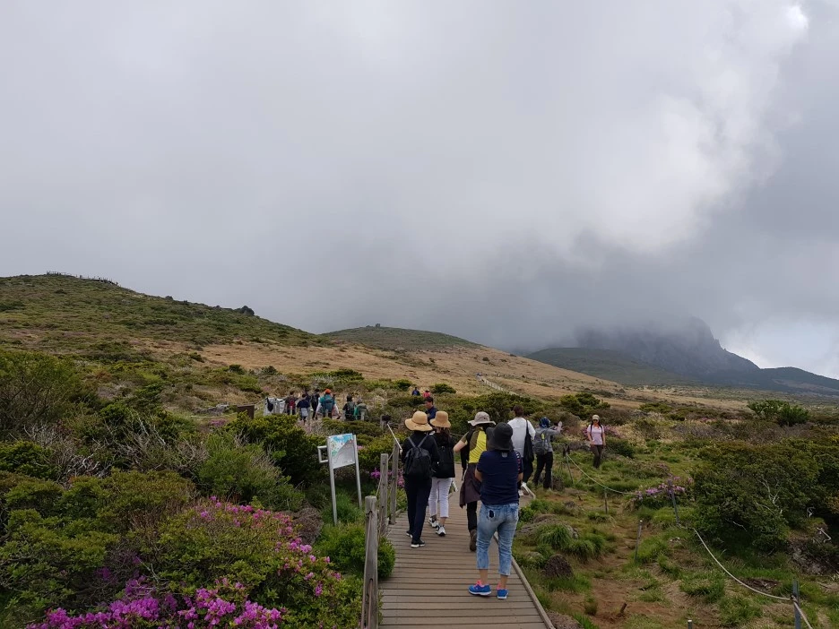 20190611_112250.jpg?type=w1