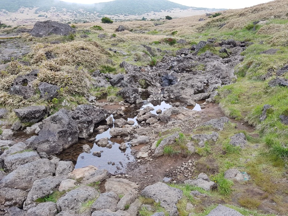 20190611_142409.jpg?type=w1