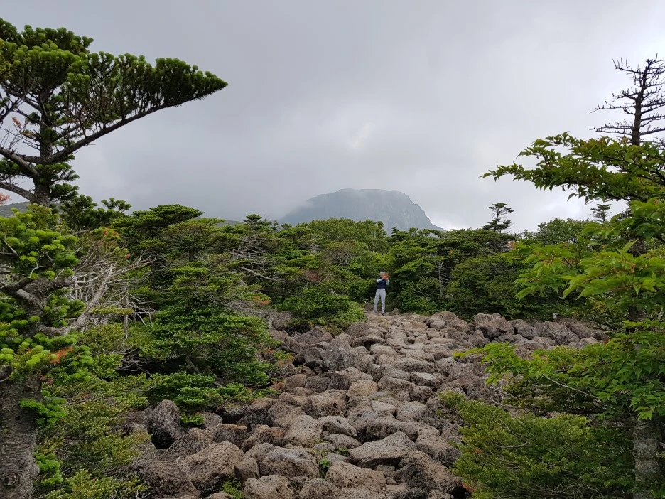 20190611_111843.jpg?type=w1