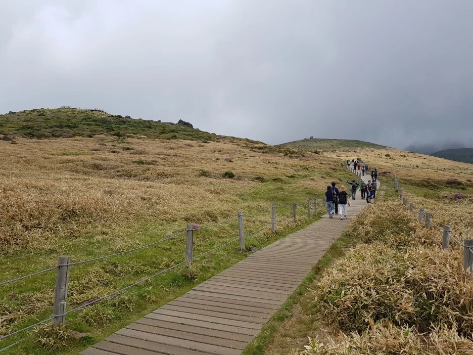 20190611_112438.jpg?type=w1