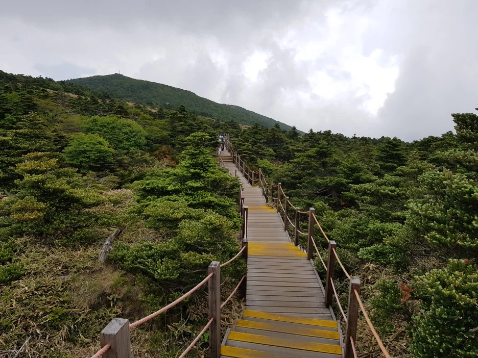 20190611_130343.jpg?type=w1