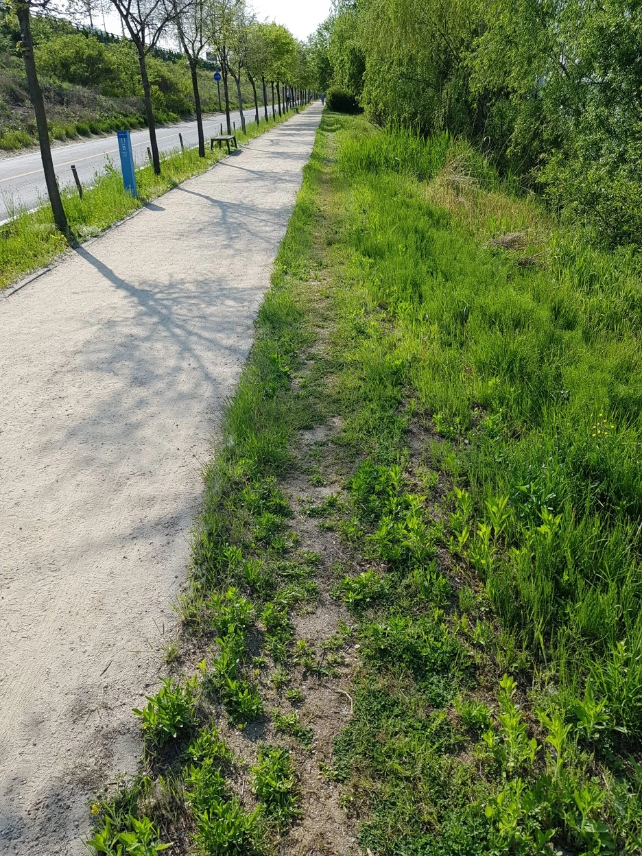 20190509_162453.jpg?type=w1