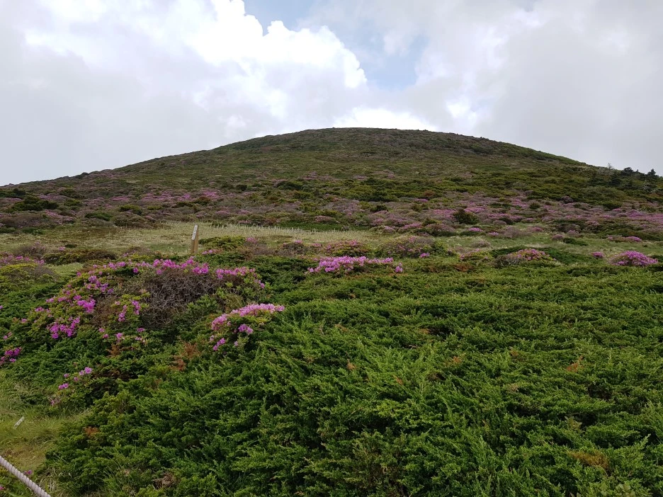 20190611_125406.jpg?type=w1