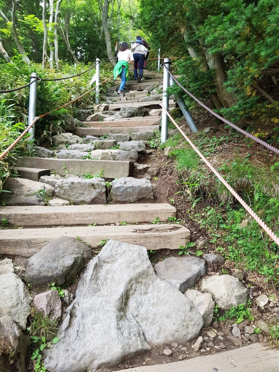 20190611_103942.jpg?type=w1