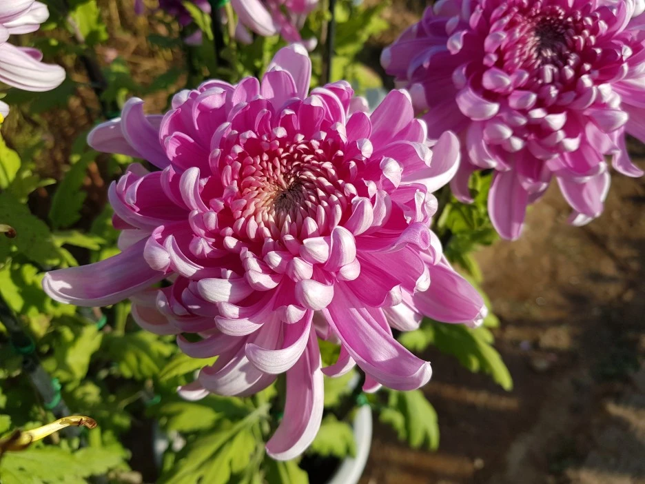 20201006_162110.jpg?type=w1