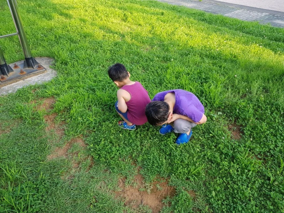 KakaoTalk_20200818_113528009_05.jpg?type=w1