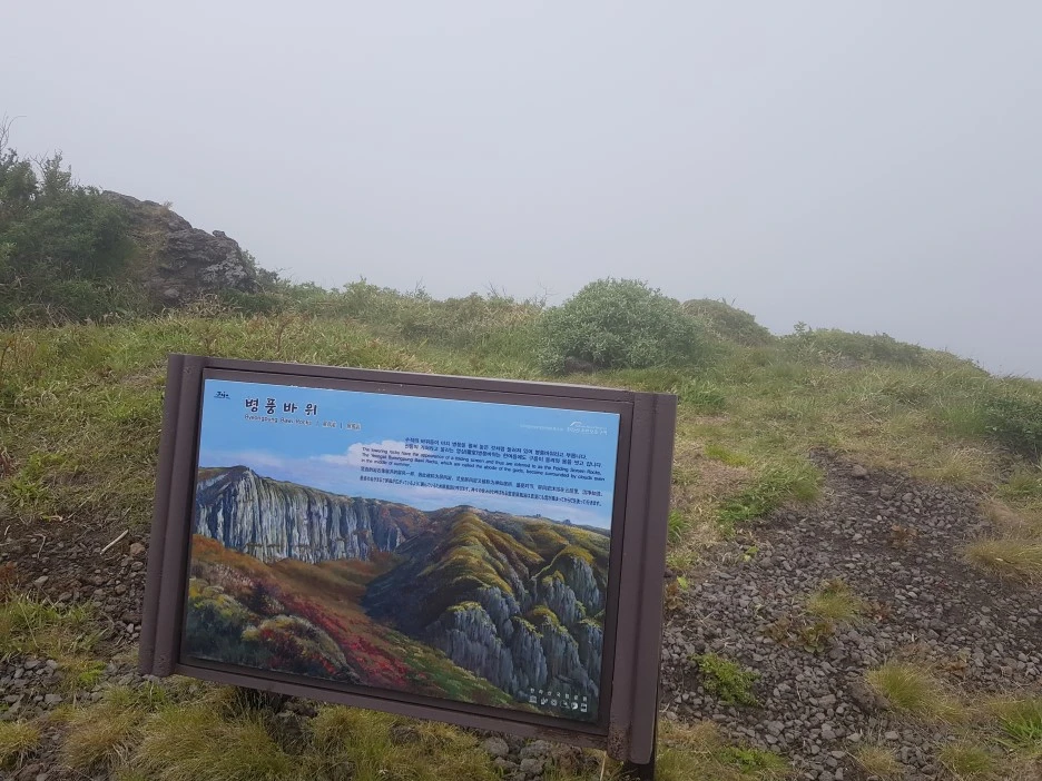 20190611_105024.jpg?type=w1