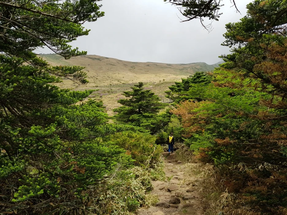 20190611_124805.jpg?type=w1