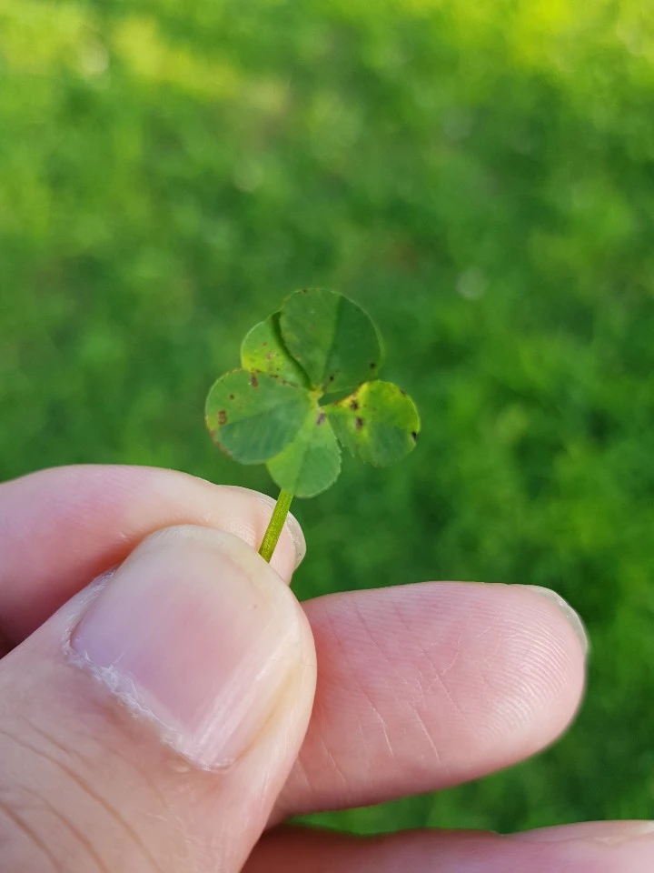 KakaoTalk_20200818_113528009.jpg?type=w1