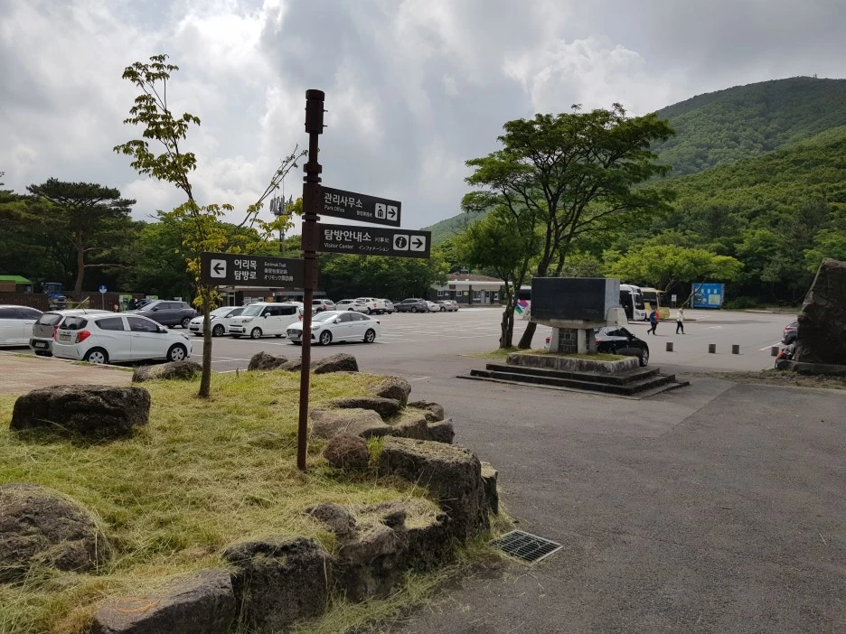 20190611_153151.jpg?type=w1