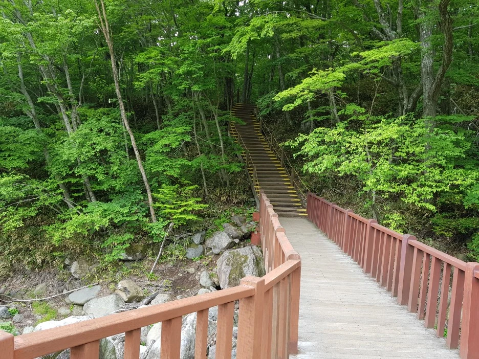 20190611_152644.jpg?type=w1