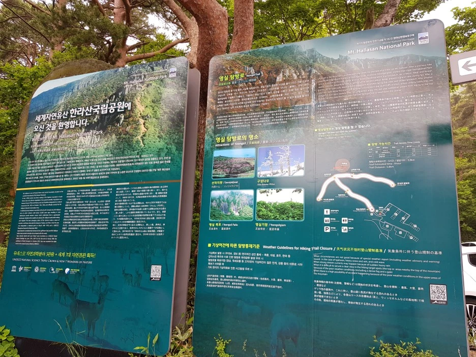 20190611_101315.jpg?type=w1