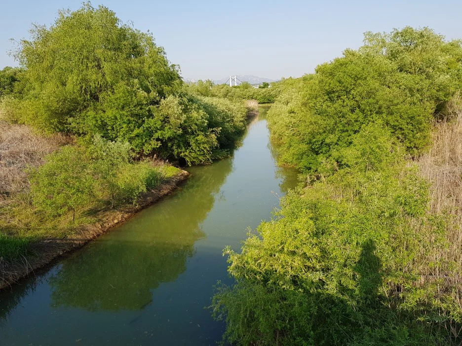 20190509_171721.jpg?type=w1