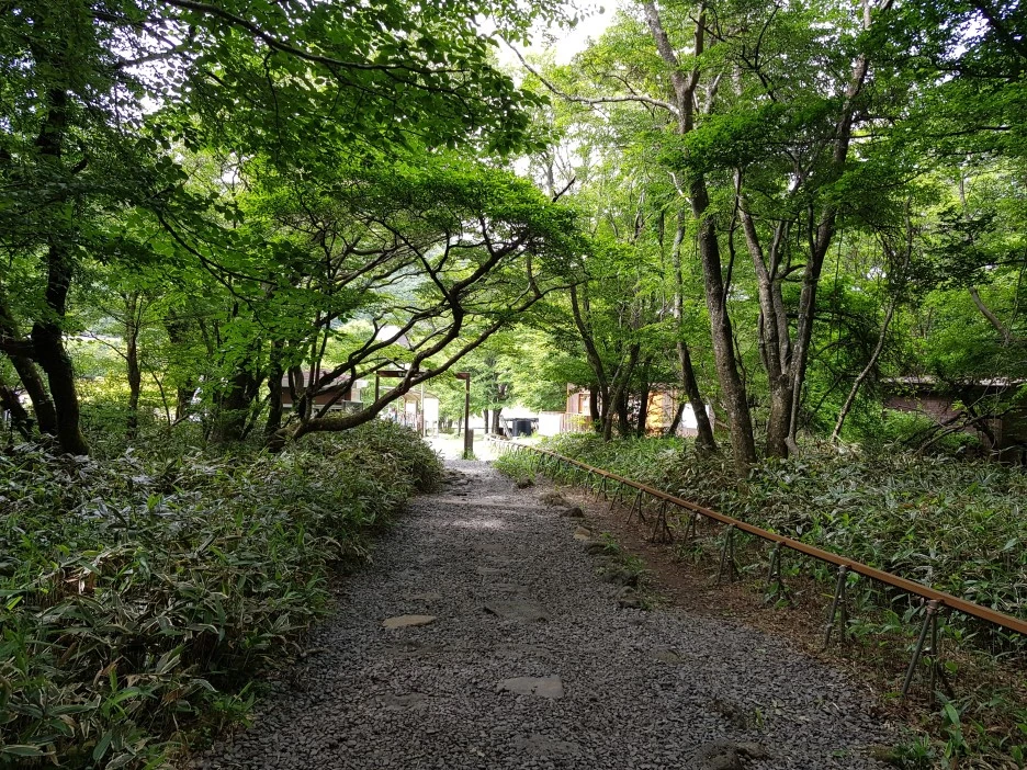 20190611_153039.jpg?type=w1