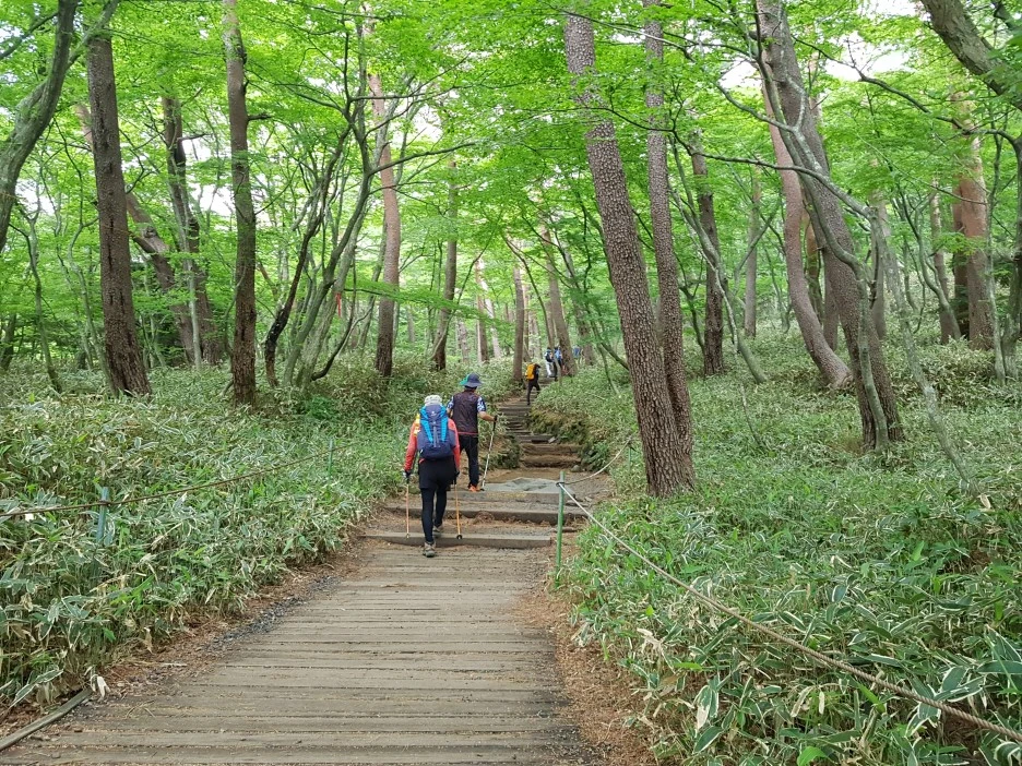 20190611_102345.jpg?type=w1