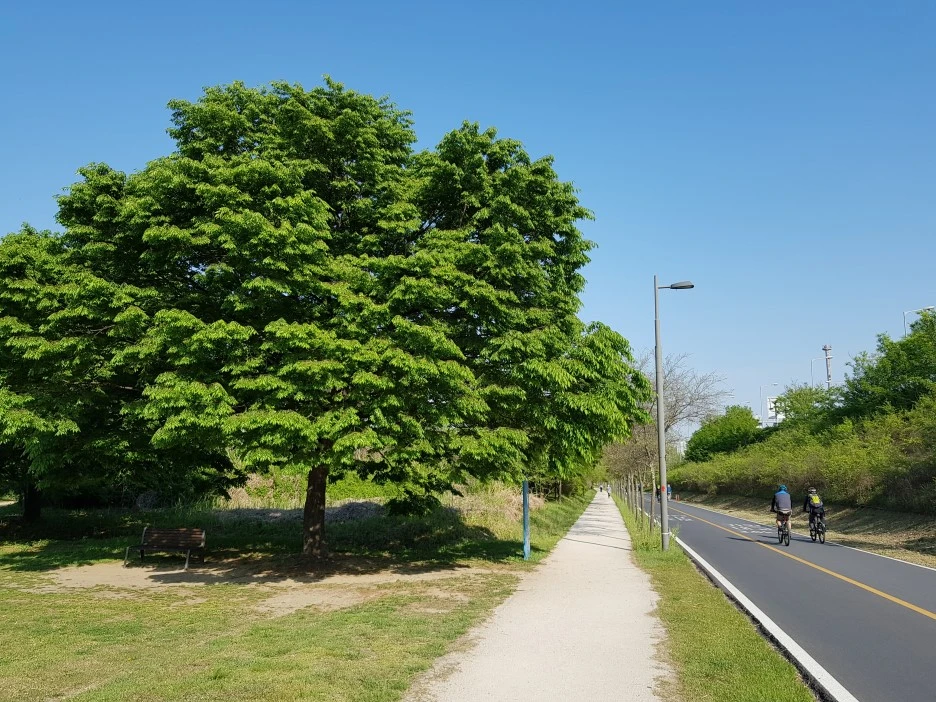 20190509_163437.jpg?type=w1